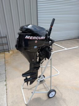 2010 Mercury 9.9EH EFI 4Stroke